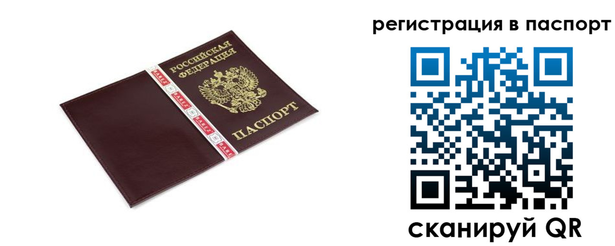пропишу в квартире в Смоленской области